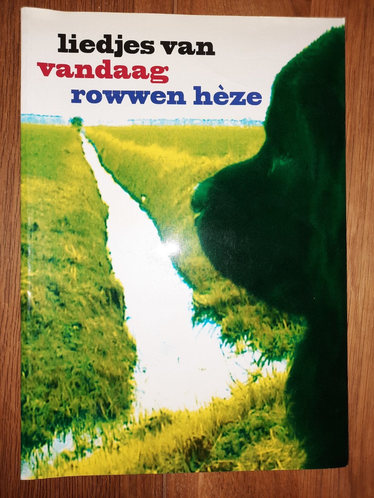 Zang / Gitaar Rowwen Heze - Liedjes Van Vandaag-songbook, Gebruikt, Overige genres, Ophalen of Verzenden, Keyboard