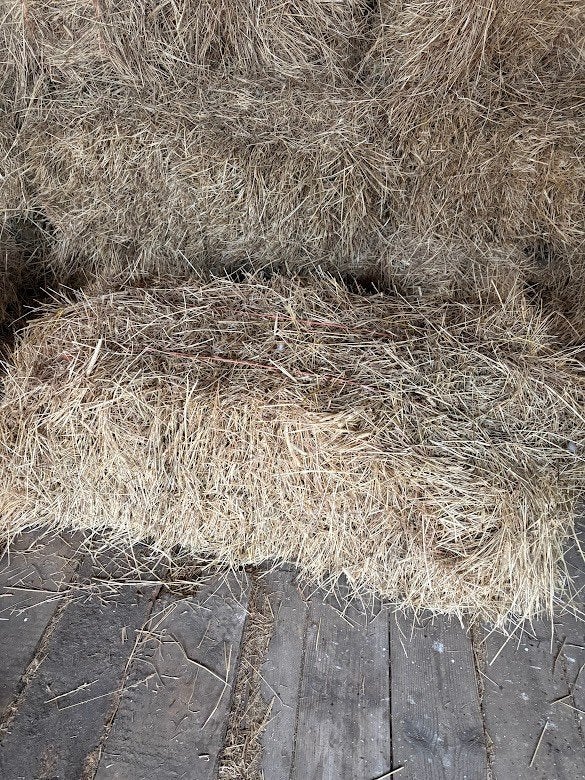 hooibalen pakken hooi kruidenrijk arme grond, Dieren en Toebehoren, Ophalen, Vee