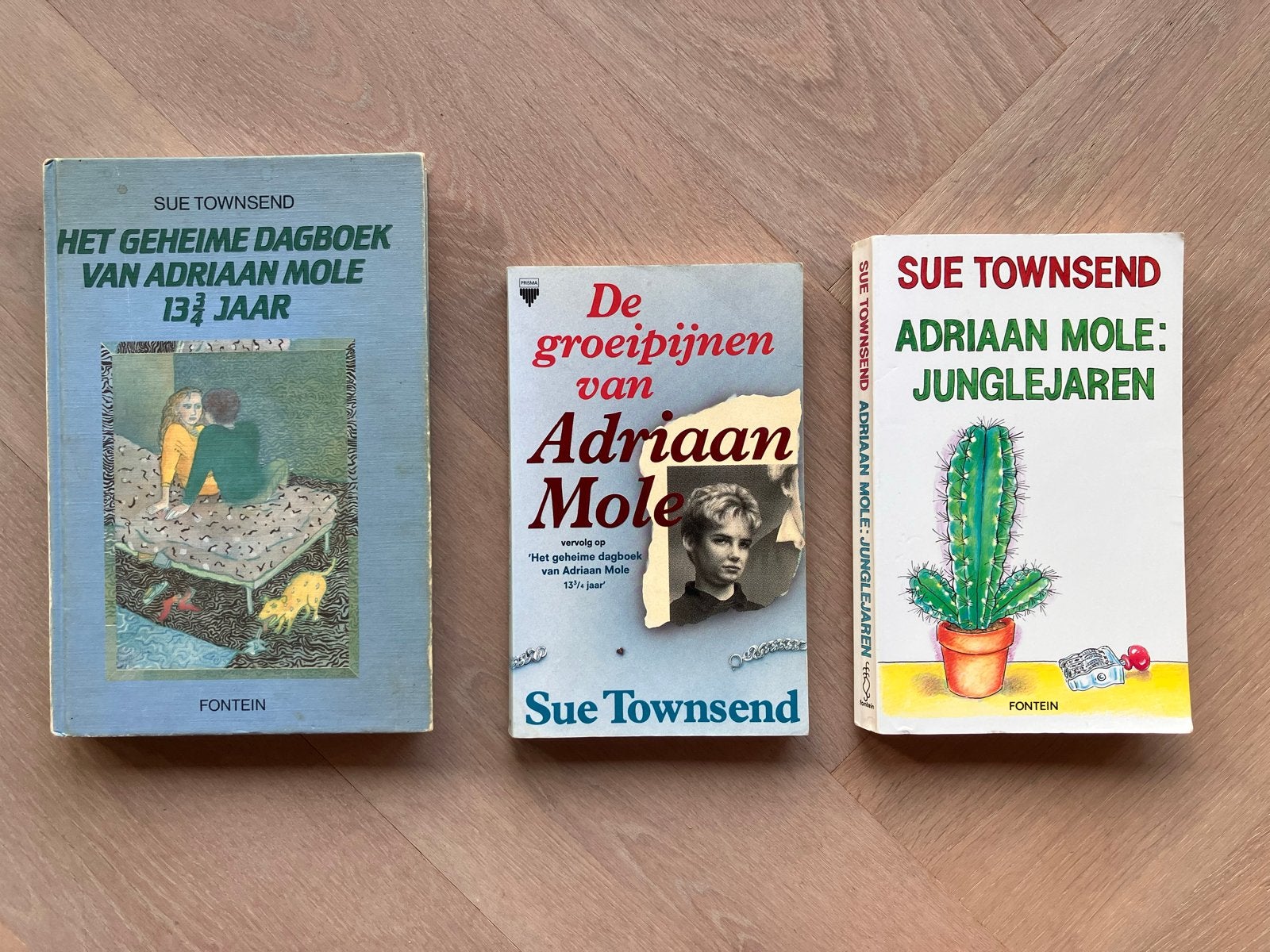 3x Het geheime dagboek van Adriaan Mole, Ophalen of Verzenden, Gelezen, Nederland