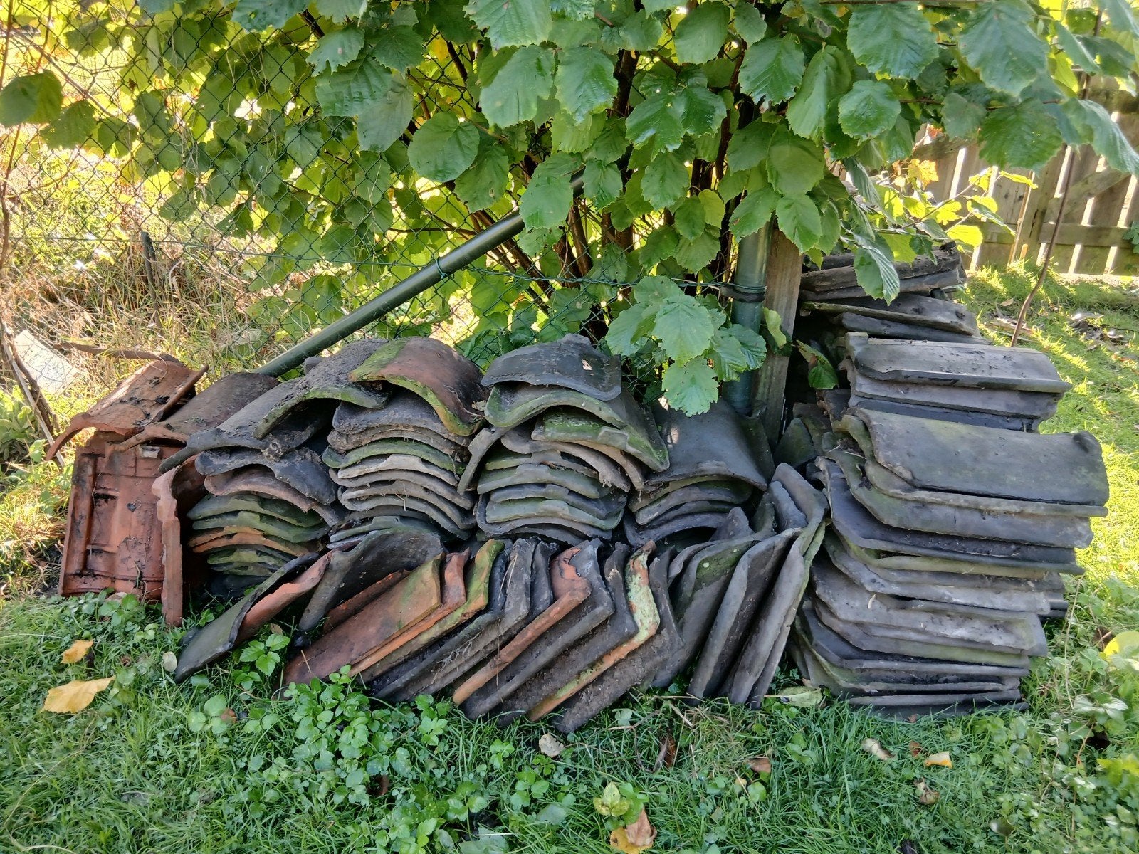 Dakpannen, Ophalen, Steen of Klei, Zwart, 15 m² of meer