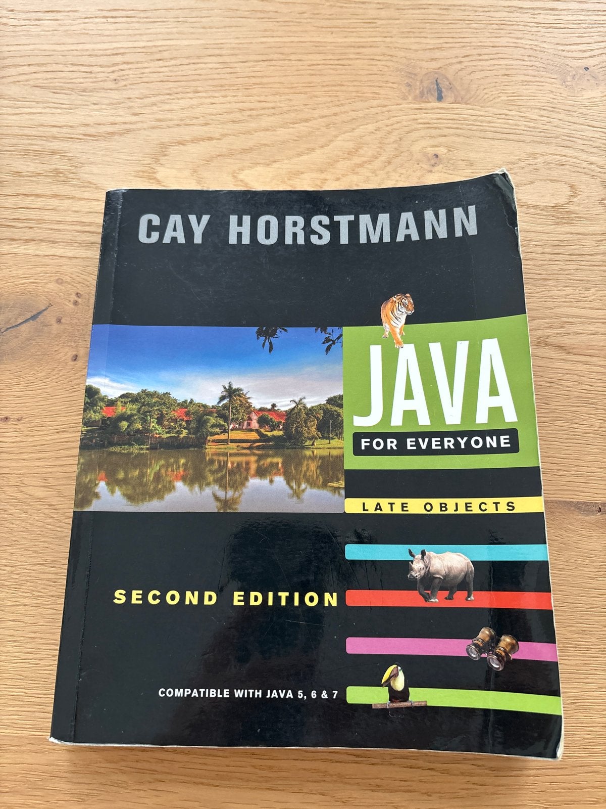 Java for Everyone - Cay Horstmann (Tweede Editie), Ophalen of Verzenden, Beta, Gelezen, WO