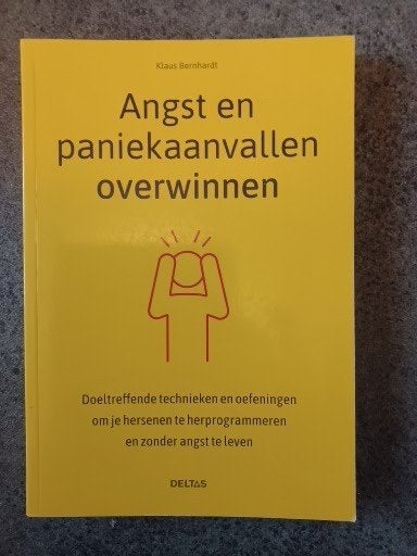 Angst en paniekaanvallen overwinnen, Klaus Bernhardt, Nieuw, Ophalen of Verzenden, Ontwikkelingspsychologie