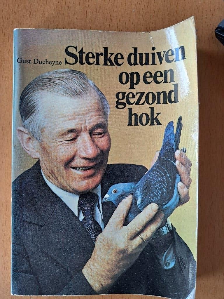 Sterke duiven op een gezond Hok postduiven, Ophalen of Verzenden, Gelezen, Vogels