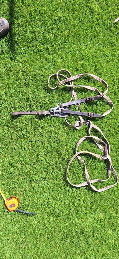 Slofteugel bruin., Dieren en Toebehoren, Ophalen of Verzenden, Gebruikt