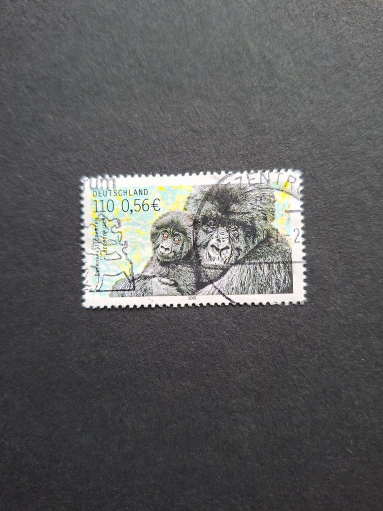Gorilla. Duitsland 2001. Apen., Ophalen of Verzenden, Dier of Natuur