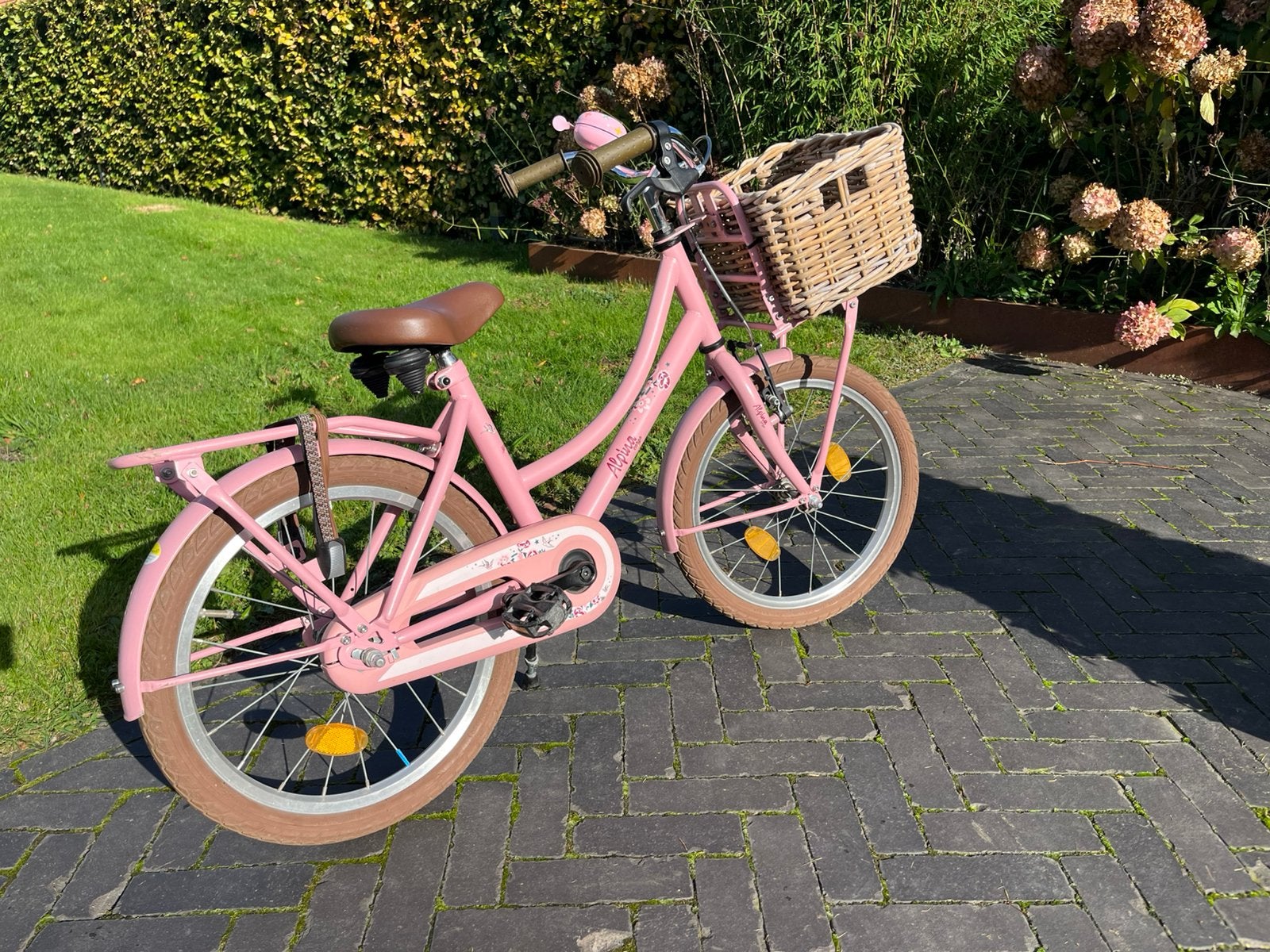 Alpina cargo 18 inch, Ophalen, Zo goed als nieuw, 18 inch