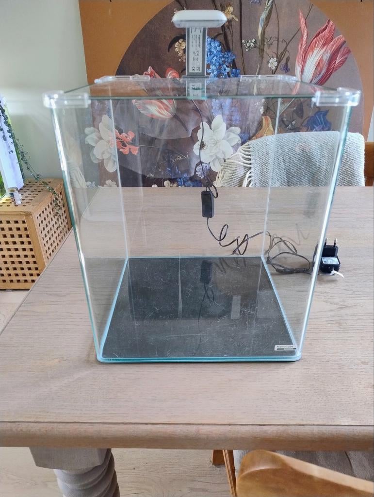 Dennerle nano cube 30 L, Dieren en Toebehoren, Vissen | Aquaria en Toebehoren, Ophalen, Zo goed als nieuw, Leeg aquarium