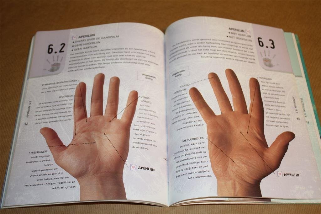 Handlezen. Toekomst in de hand. Tre McCamley., Boeken, Ophalen of Verzenden, Gelezen, Overige onderwerpen, Achtergrond en Informatie