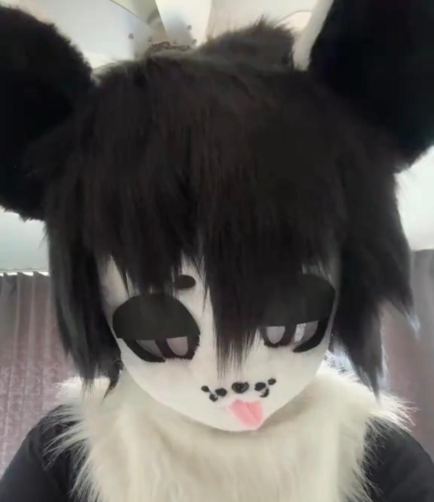 Kigurumi fursuit, Ophalen of Verzenden, Nieuw, Overige typen