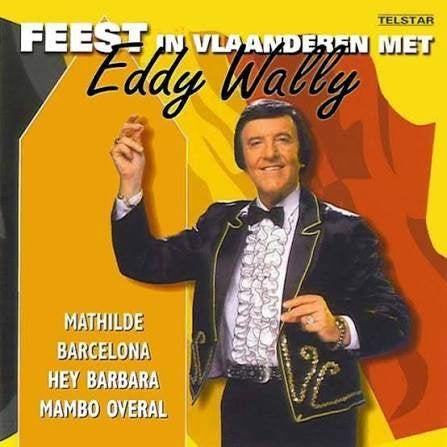 Eddy Wally - Feest in Vlaanderen, Ophalen of Verzenden, Zo goed als nieuw, Levenslied of Smartlap