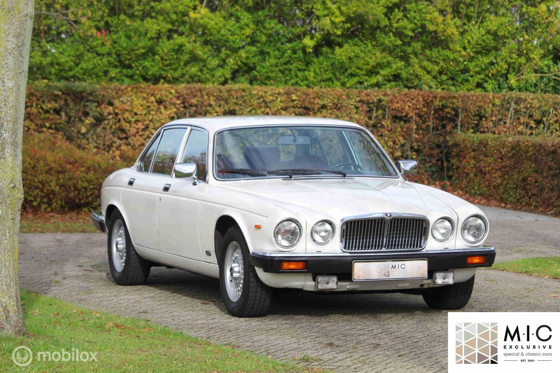 Jaguar Sovereign 4.2 Sovereign, Automaat, Achterwielaandrijving, Wit, Particulier