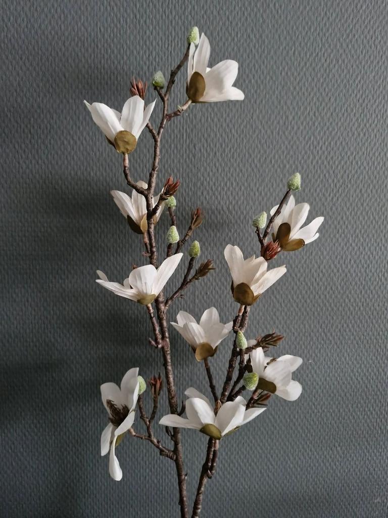 Mooie grote volle magnolia tak. Landelijk sober stoer, ., Nieuw, Ophalen of Verzenden, .