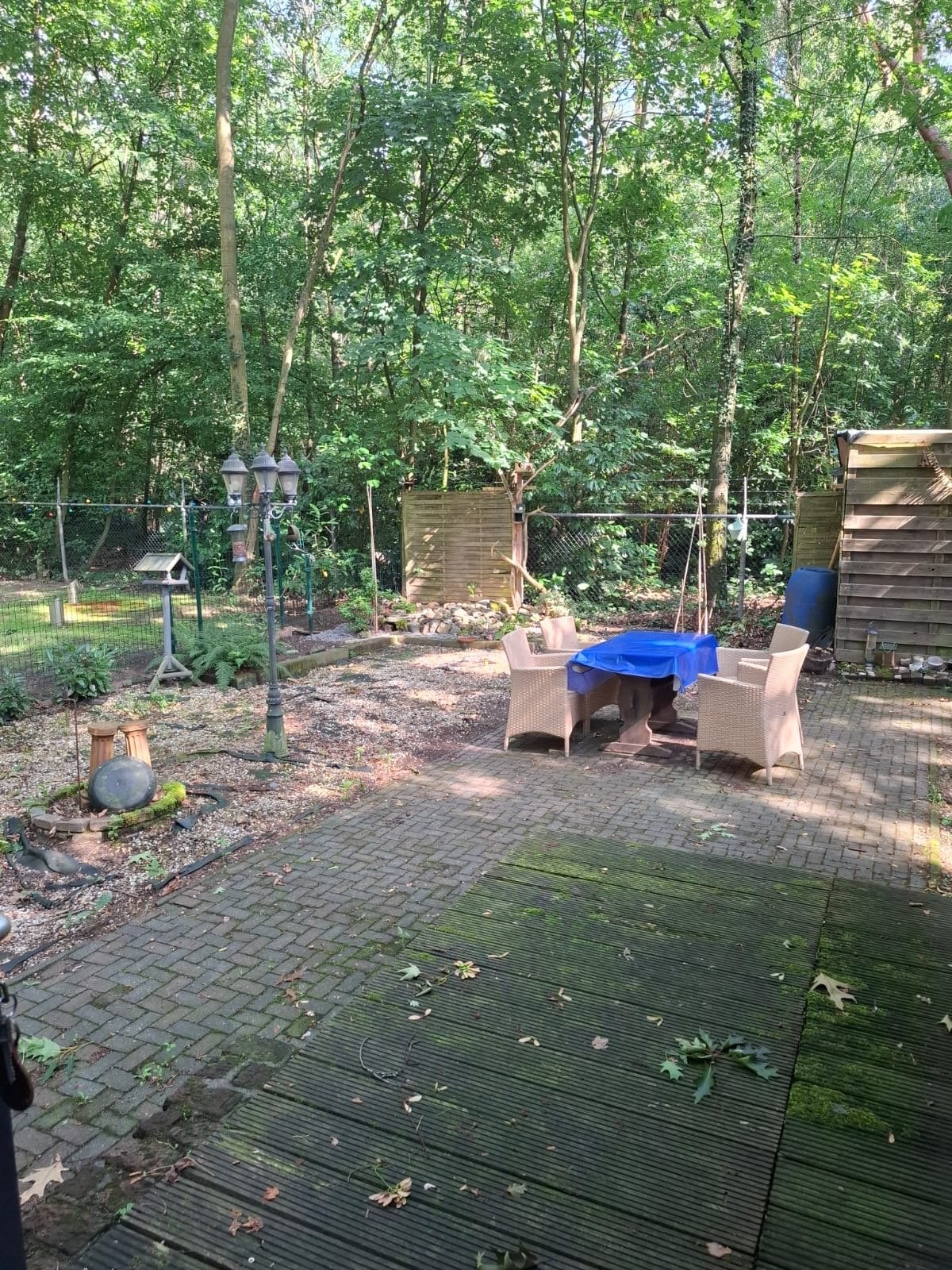 Ruime chalet, In bos, Limburg, Recreatiepark, 1 slaapkamer