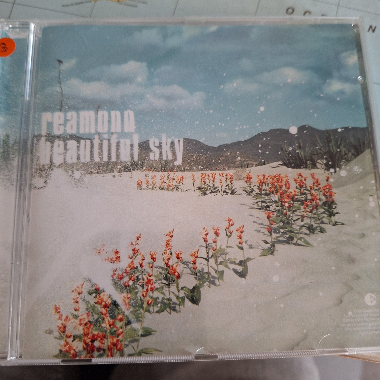 Reamonn - Beautiful Sky CD (Pop/Rock), Cd's en Dvd's, Ophalen of Verzenden, Gebruikt, Album, Inclusief doosje