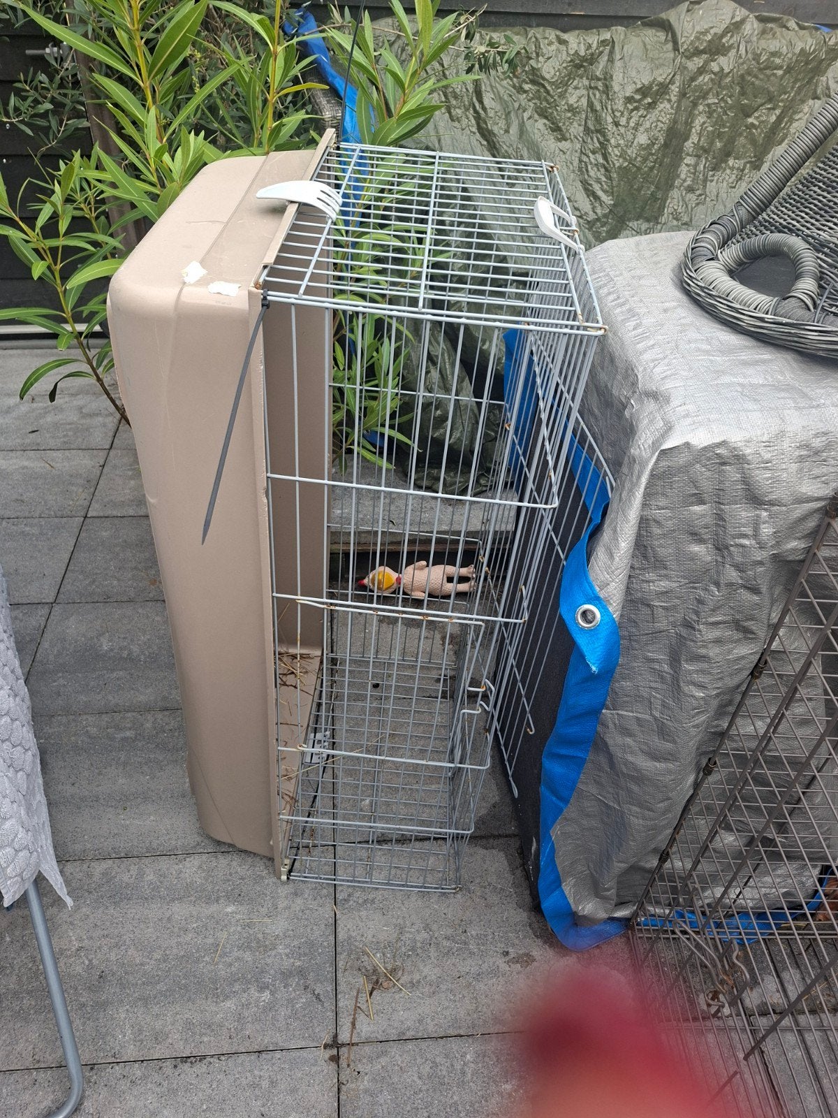 Knaagdieren kooi, Ophalen, Minder dan 65 cm