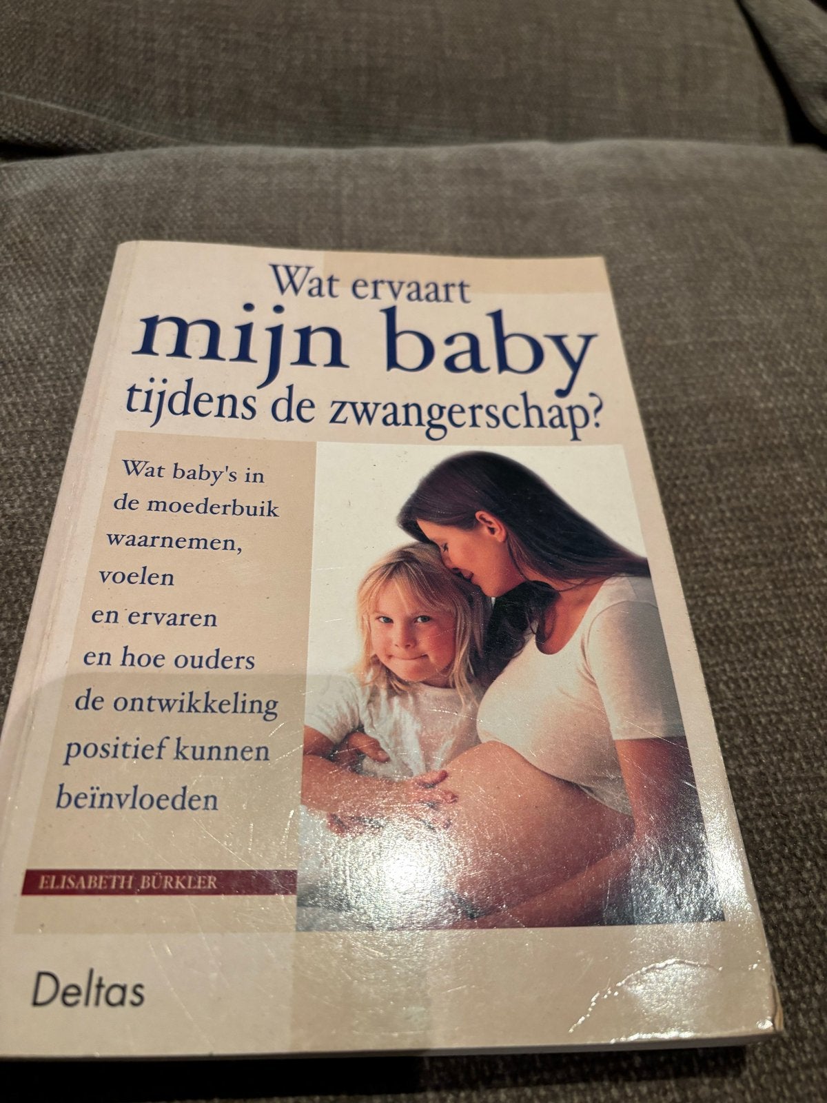 Wat ervaart mijn baby tijdens de zwangerschap?, Ophalen of Verzenden, Gelezen, Zwangerschap en Bevalling