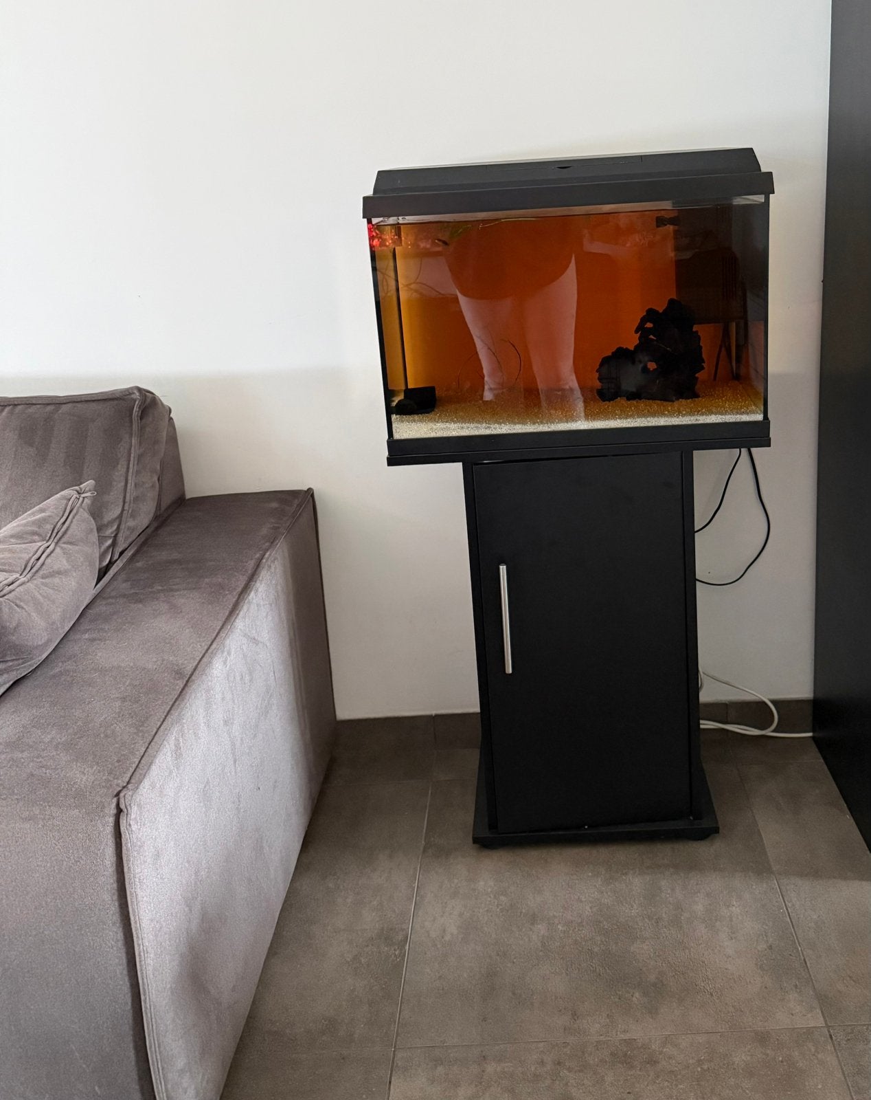Jewel aquarium 70 liter met kastje, Ophalen, Gebruikt, Leeg aquarium, Juwel