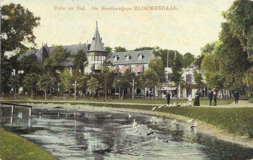 AK Bloemendaal - Duin en Dal, De Eendenvijver, Verzenden, Voor 1920, Gelopen, Noord-Holland