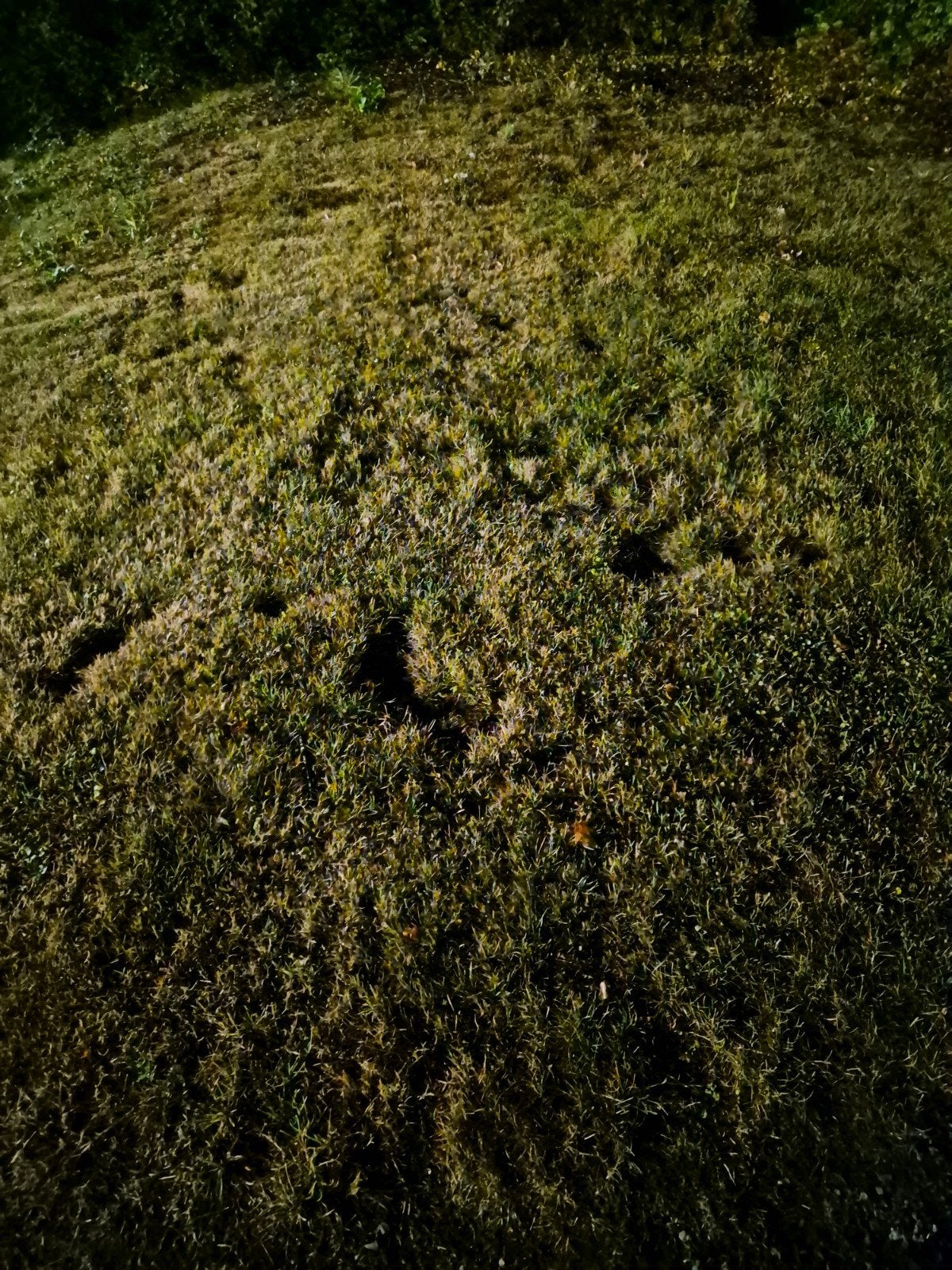 wilt u gratis van uw schone zwarte of gele grond af?, Tuin en Terras, Zand, Ophalen, Overige typen