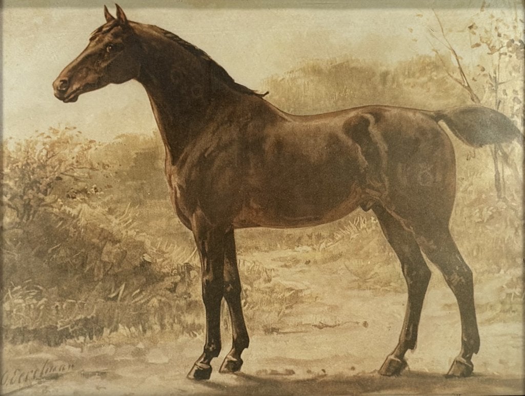 233. Prent naar Otto Eerelman – paard, 19e eeuw, Ophalen