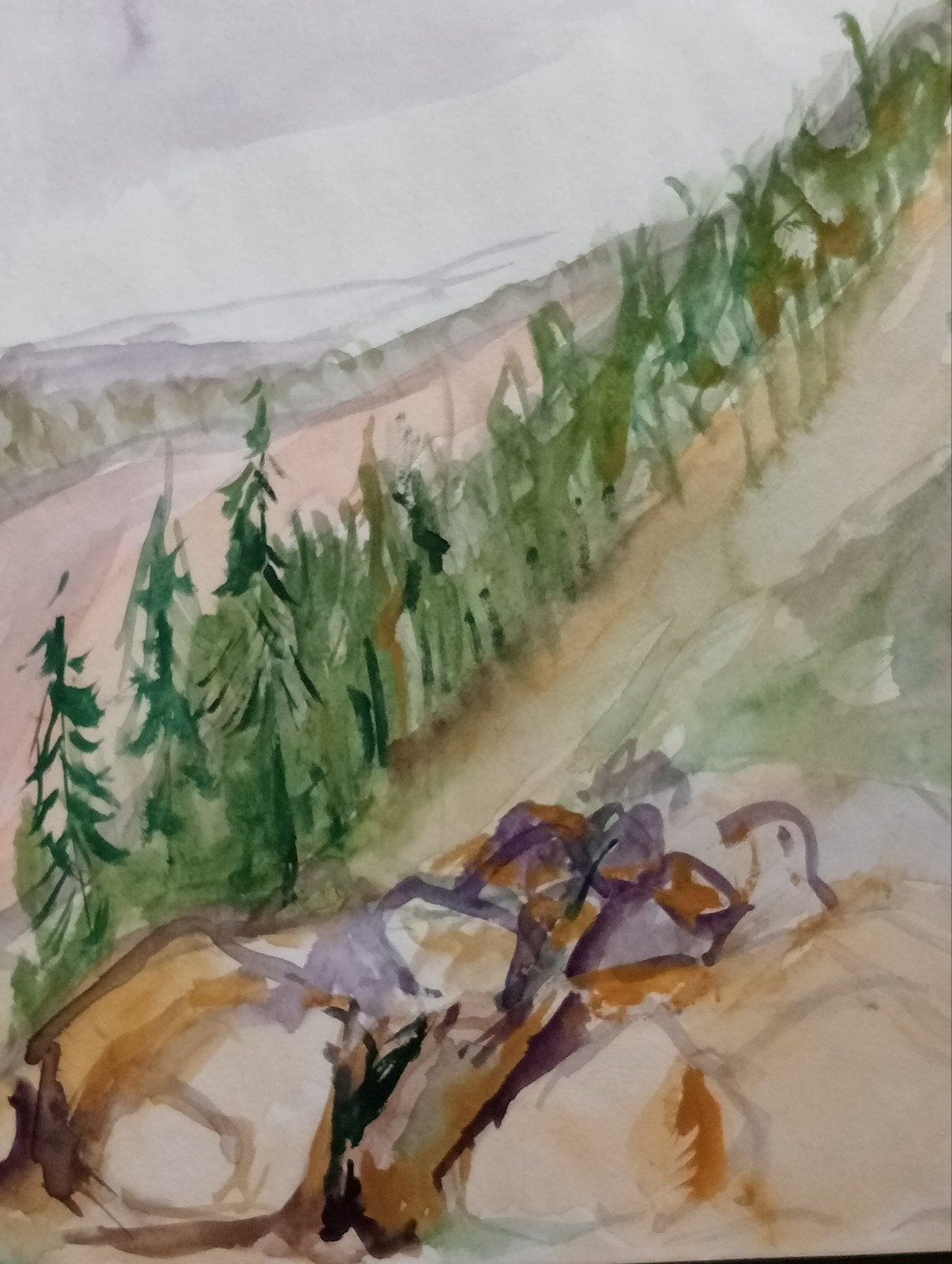 Aquarel Landschap 20e eeuw, Ophalen of Verzenden