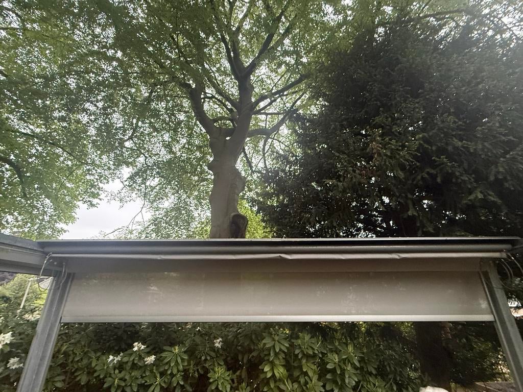 Screens, elektrisch bedienbaar, Tuin en Terras, Zonneschermen, Ophalen, Elektrisch, Zo goed als nieuw, 150 tot 300 cm