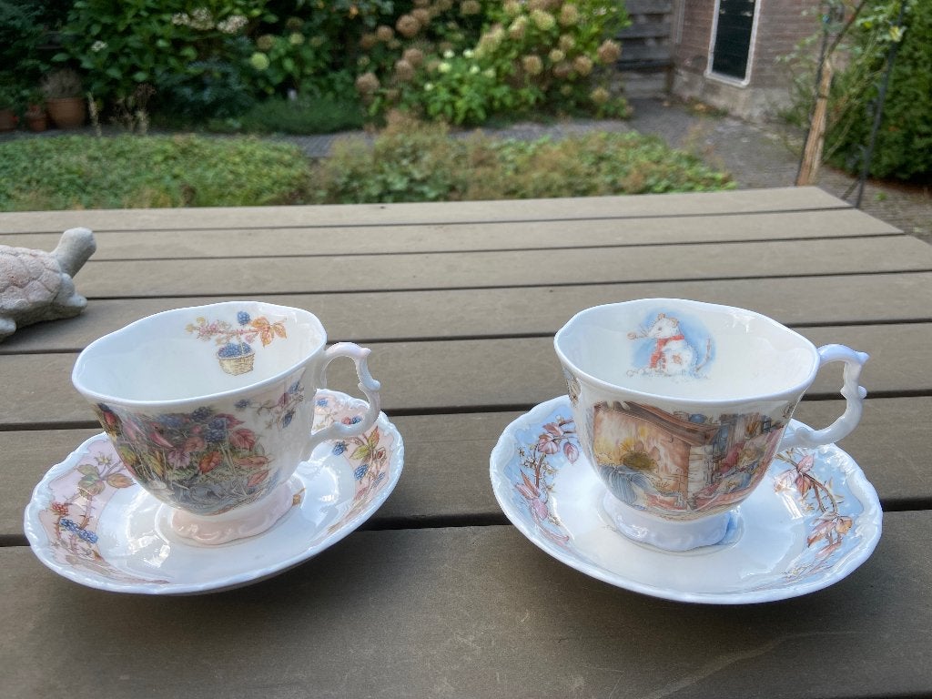 Brambly Hedge kop en schotel, Ophalen of Verzenden, Zo goed als nieuw, Porselein, Kop en/of schotel