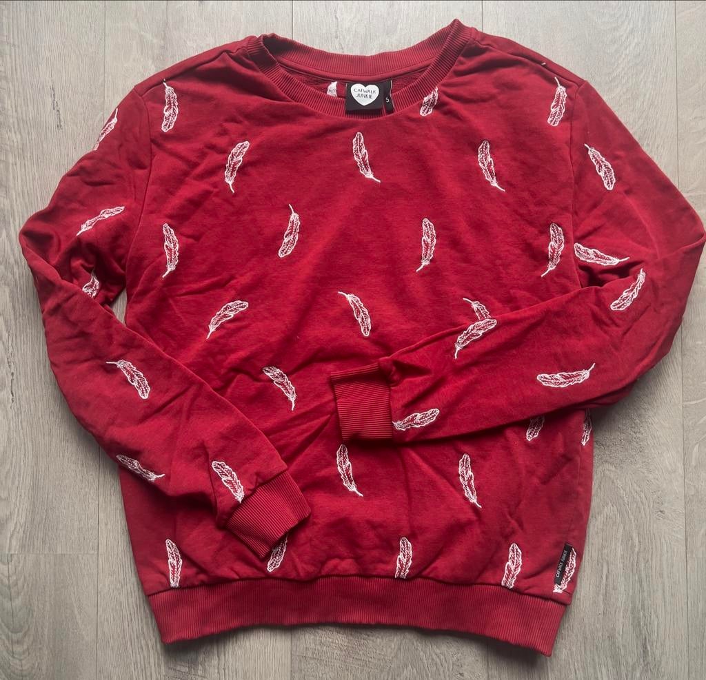 Catwalk Junkie sweater met geborduurde veertjes - Nieuw!, Ophalen of Verzenden, Nieuw, Maat 36 (S), Rood
