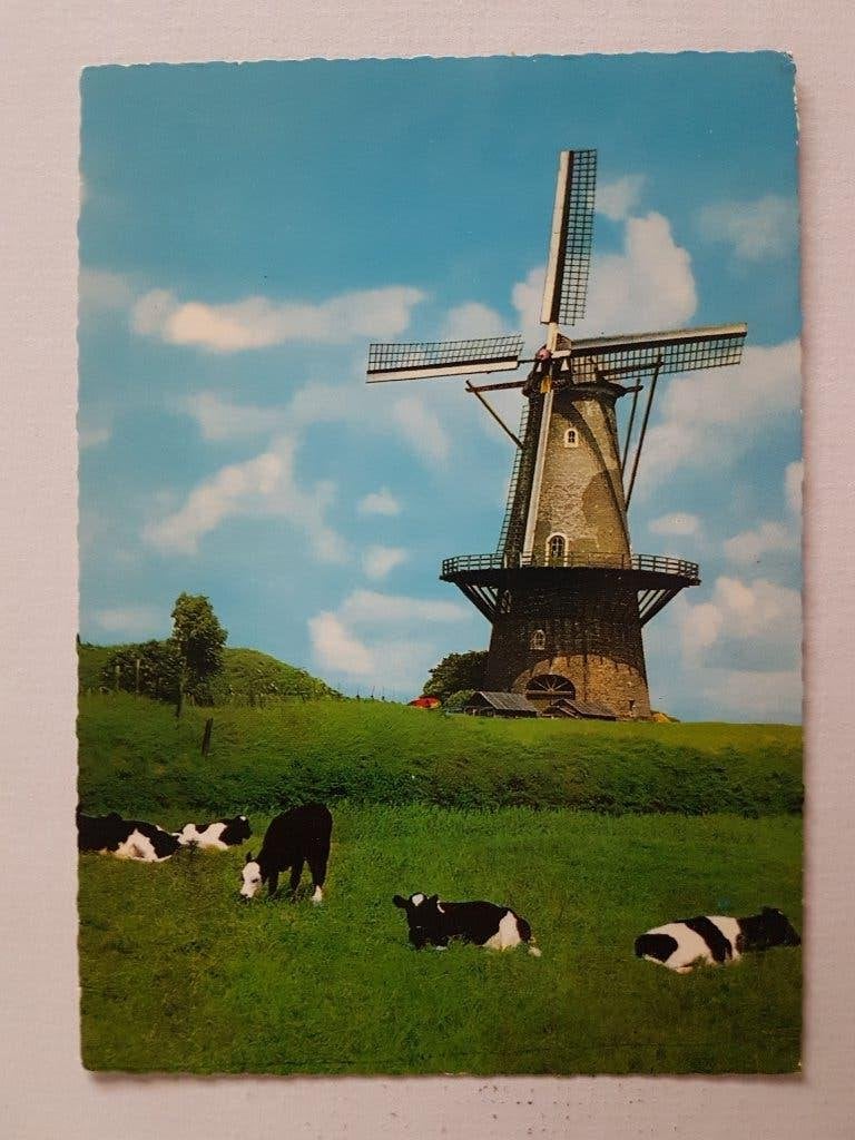 Ansichtkaart Korenmolen te Gorkum Molen Windmolen, Ophalen of Verzenden, 1960 tot 1980, Ongelopen, Noord-Brabant