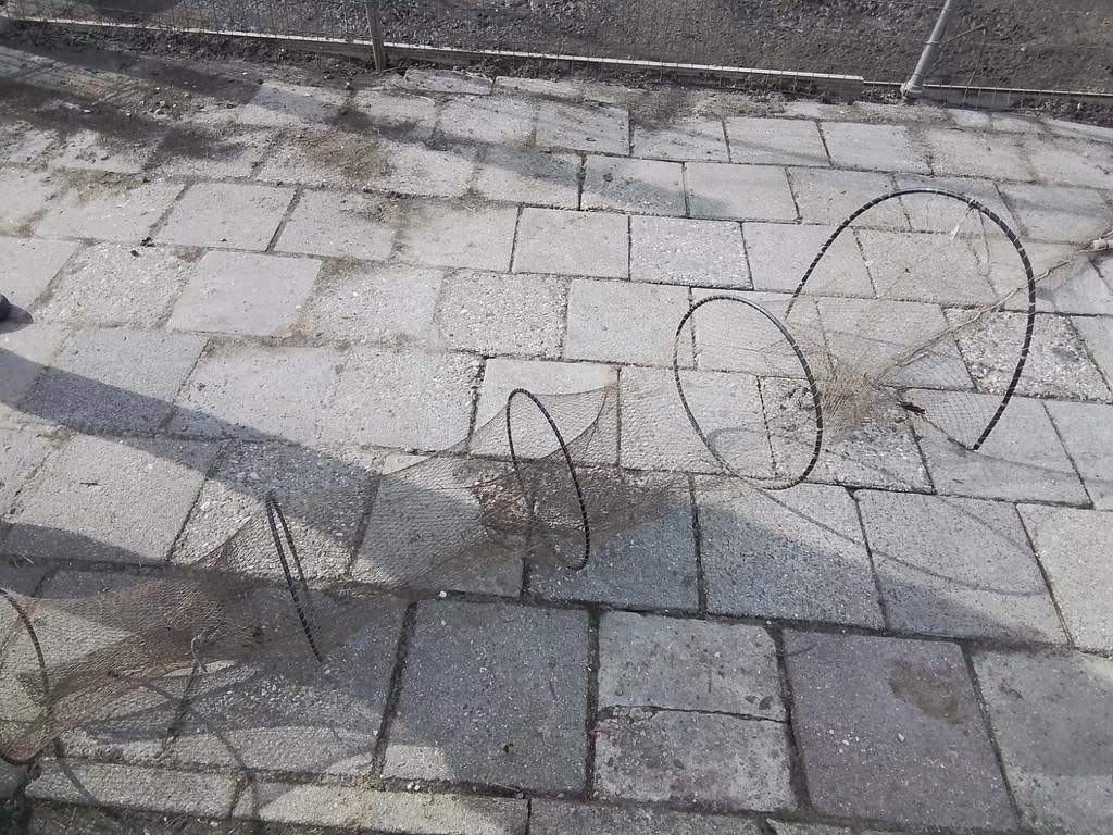 Vis fuik, Verzenden, IJzer