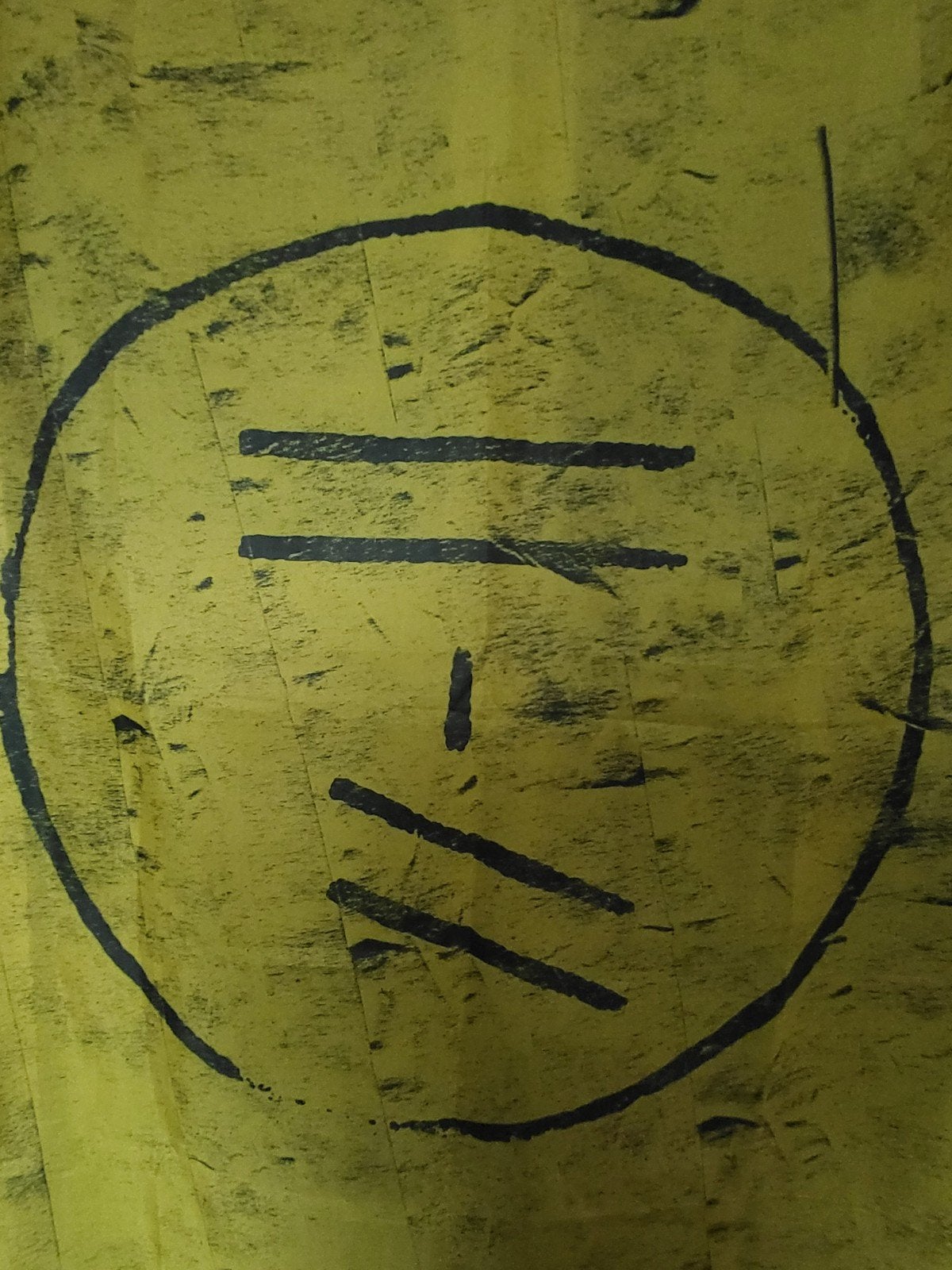 Officiële Twenty One Pilots Vlag (Trench Era), Ophalen of Verzenden, Zo goed als nieuw, Kleding