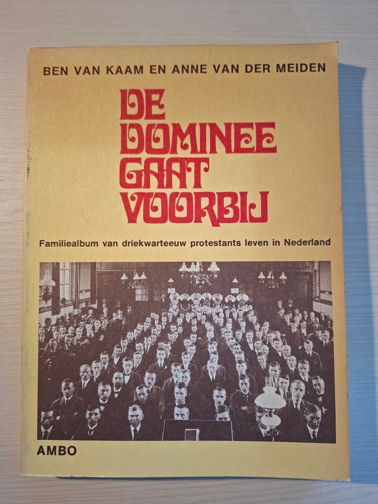 De Dominee Gaat Voorbij - Protestants Leven in Nederland, Ophalen of Verzenden, Gelezen, Ben van Kaam en Anne van der Meiden, Christendom | Protestants
