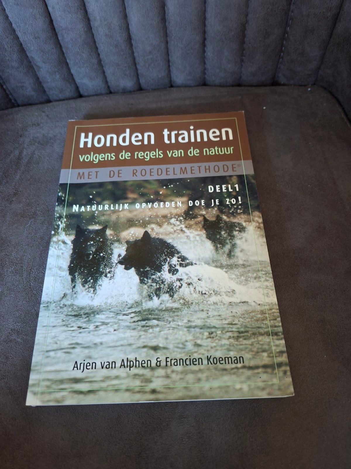 Honden trainen volgens de regels van de natuur - Deel 1, Ophalen of Verzenden, Zo goed als nieuw, Honden, Arjen van Alphen & Francien Koeman