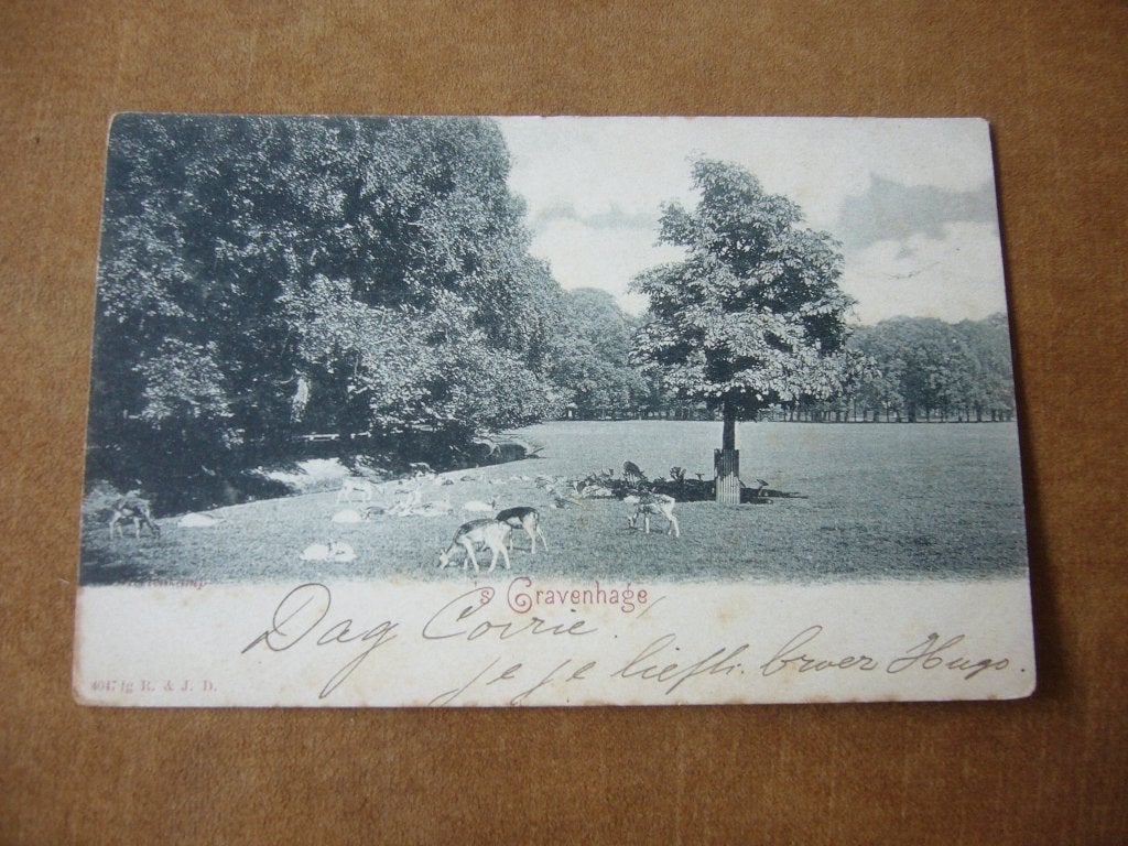 S, GRAVENHAGE  =  HERTENKAMP  BRIEFKAART  1899, Ophalen of Verzenden, Voor 1920, Gelopen, Zuid-Holland