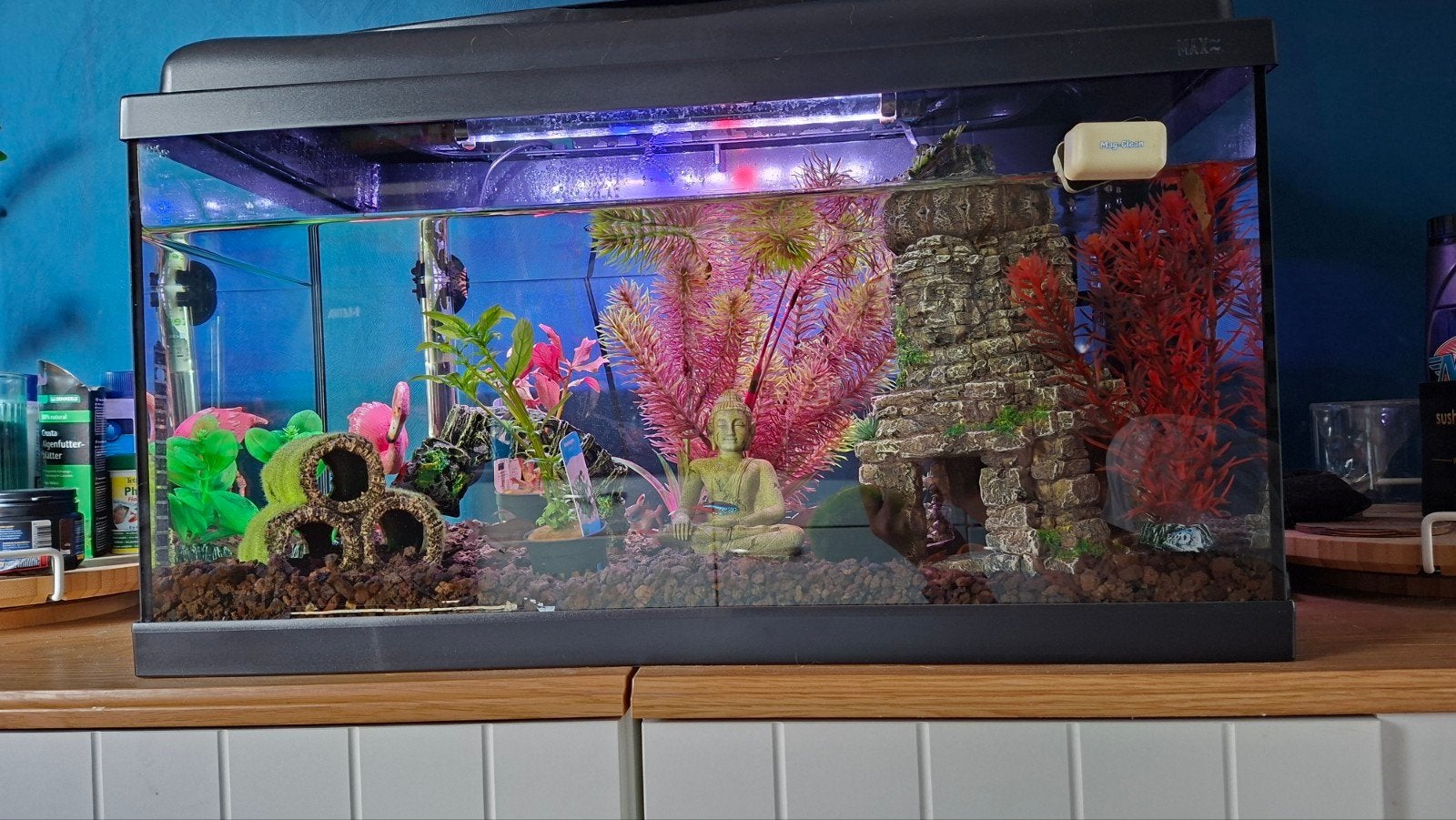 aquarium met toebehoren, Dieren en Toebehoren, Ophalen, Inclusief vissen, Gebruikt, Gevuld zoetwateraquarium