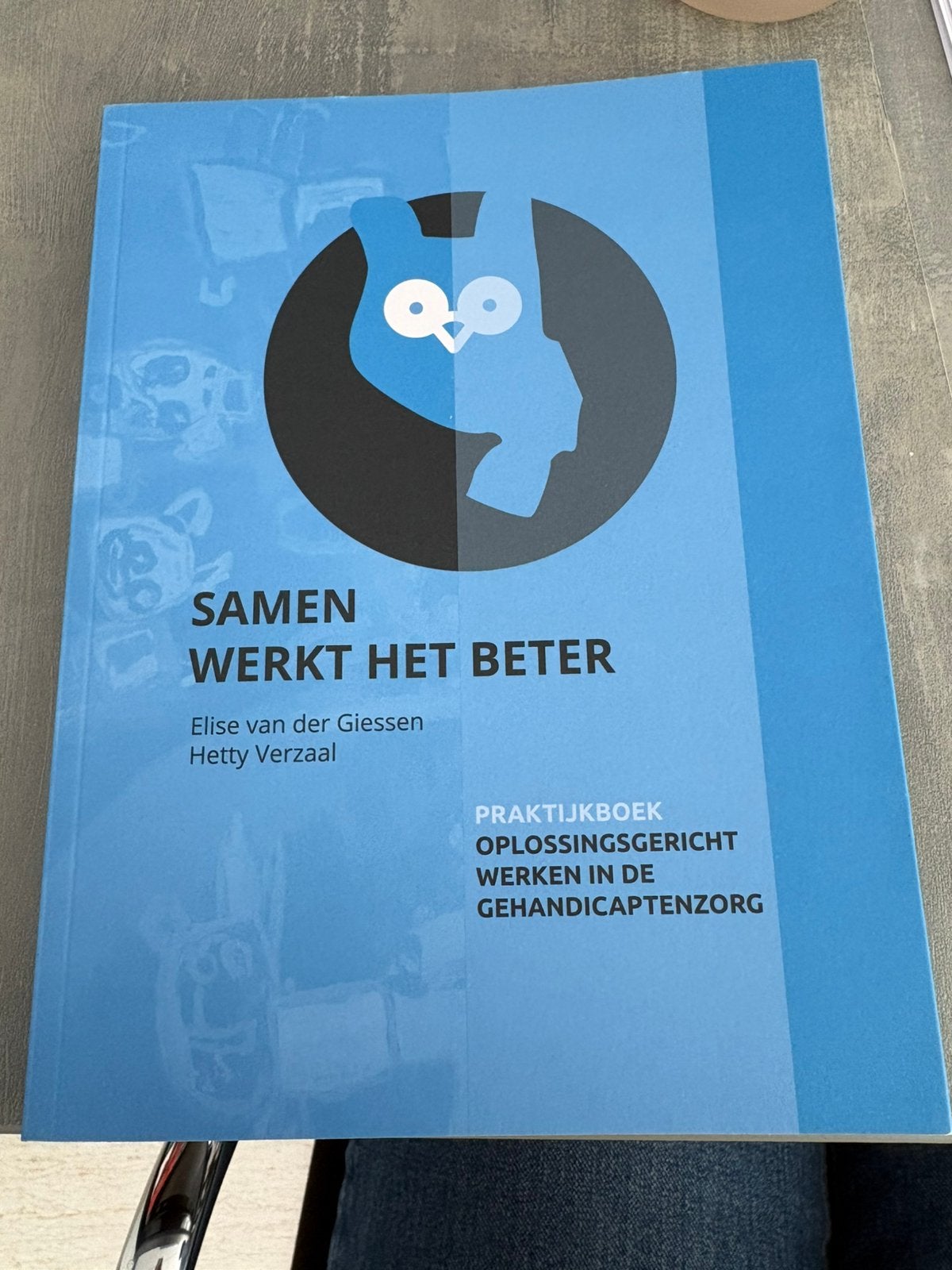 Samen werkt het beter, Boeken, Informatica en Computer, Verzenden, Zo goed als nieuw, Overige onderwerpen