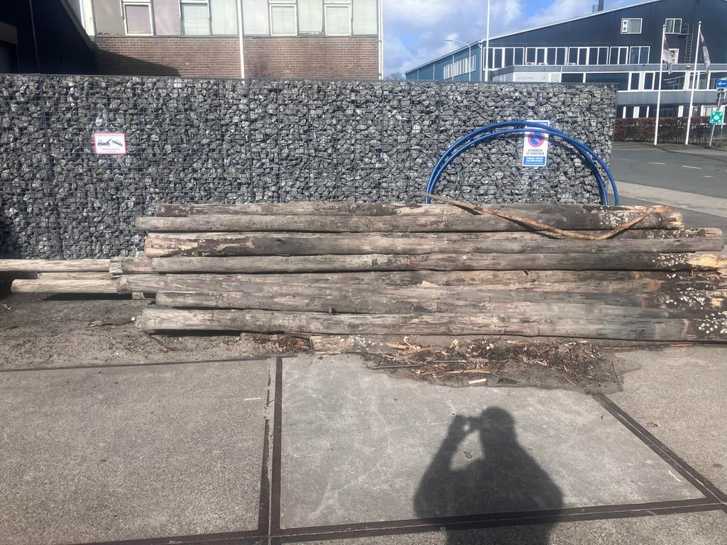 30 X Cloeiziana  Rondpaal Geschild 500 cm, Kopmaat 14, Ophalen, Gebruikt, Palen, Hardhout