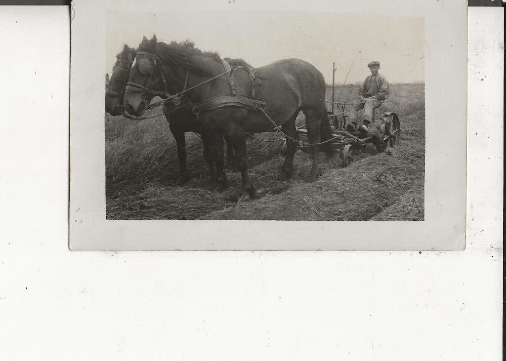 Honselersdijk Op de ploeg met 2 paarden Fotokaart, Ophalen of Verzenden, Voor 1920, Ongelopen, Zuid-Holland