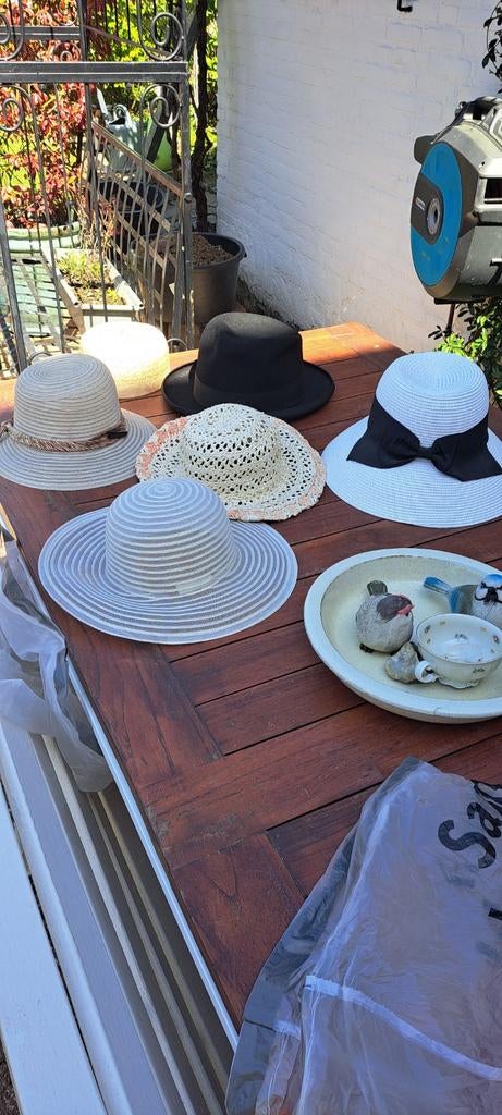 Diverse Zomerhoeden en Strohoeden, Kleding | Dames, Hoeden en Petten, Hoed, Diverse, Gedragen, One size fits all