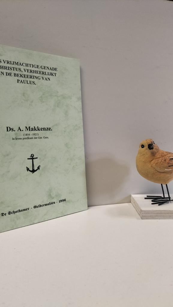 Makkenze, Ds. A.; Gods vrijmachtige genade, Boeken, Ophalen of Verzenden, Gelezen, Christendom | Protestants