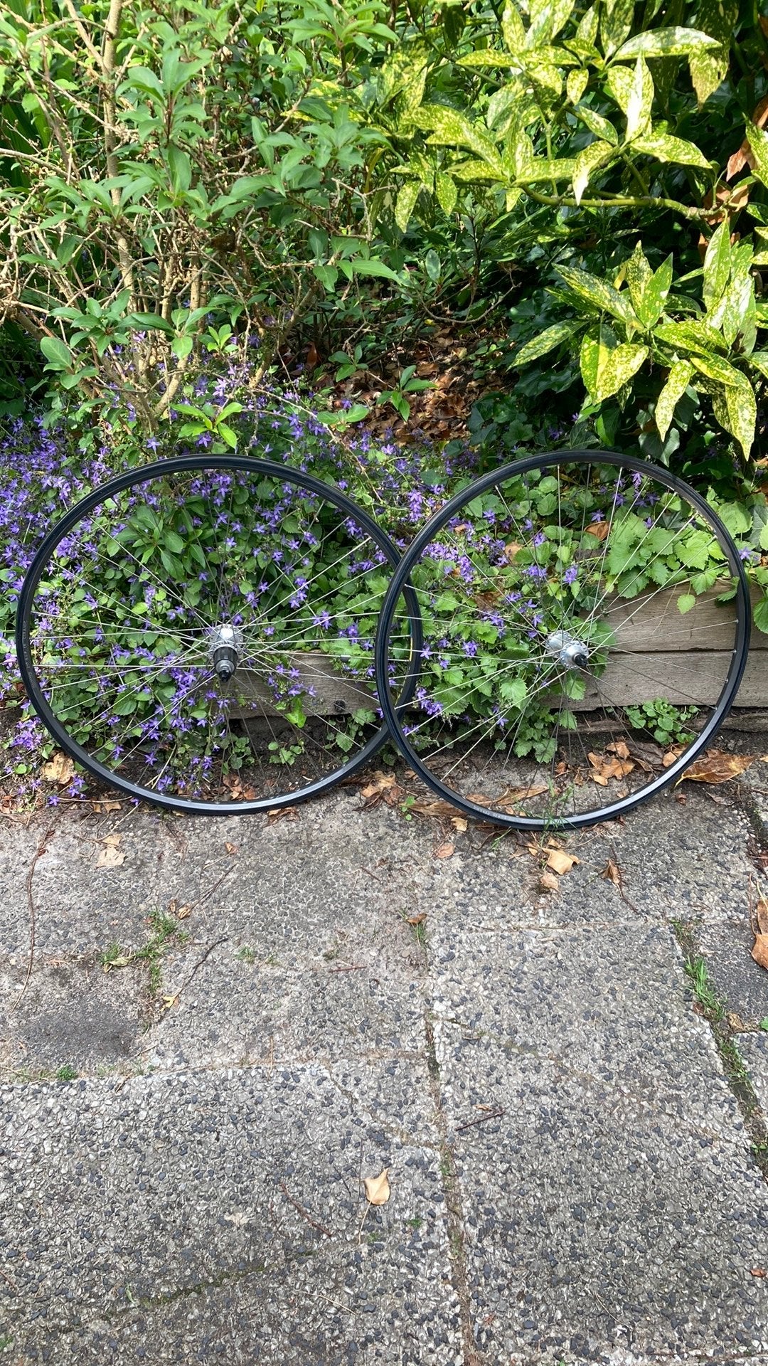 Set mooie retro wielen., Fietsen en Brommers, Fietsen | Oldtimers, Minder dan 47 cm, Ophalen, Velgrem