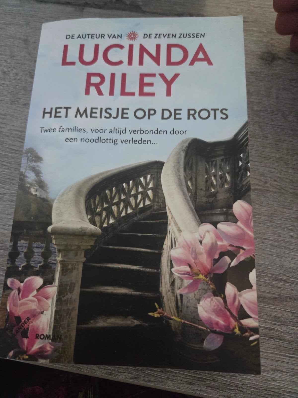 Het Meisje op de Rots - Lucinda Riley (Roman), Boeken, Ophalen of Verzenden, Gelezen, Lucinda Riley, Nederland