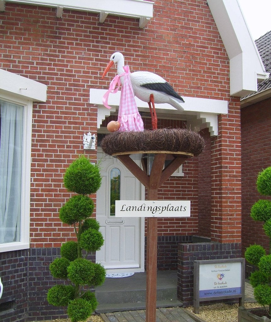 Supermooi Ooievaarsnest meisje + naambord DIRECT BESCHIKBAAR, Kinderen en Baby's, Kraamcadeaus en Geboorteborden, Ophalen, Nieuw