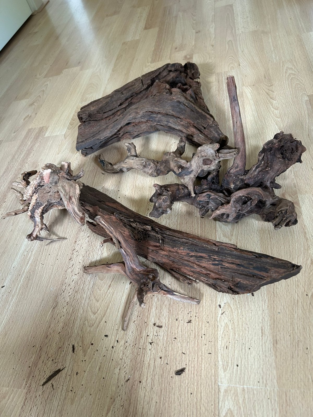 Kien hout voor in aquarium, Dieren en Toebehoren, Vissen | Aquaria en Toebehoren, Ophalen, Zo goed als nieuw, Plant(en), Steen of Hout