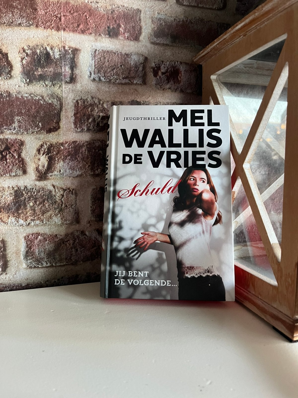 Boek Schuld, Ophalen of Verzenden, Nieuw