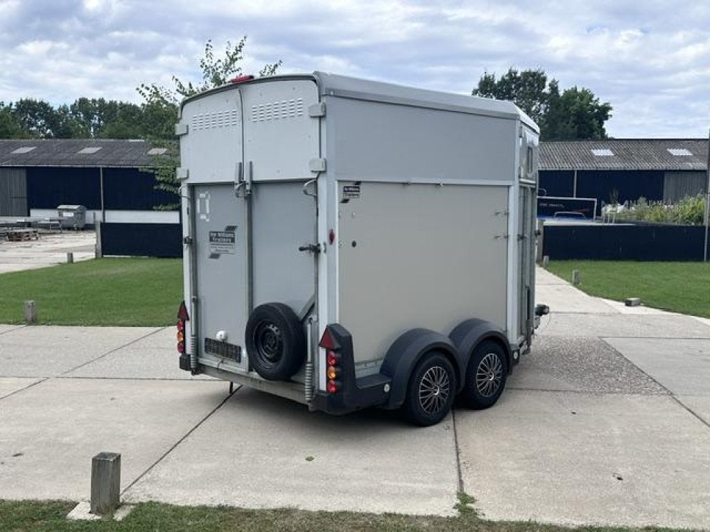 IFOR Williams Trailer HB 511 met vooruitloop paardentrailer, Gebruikt, 2-paards trailer