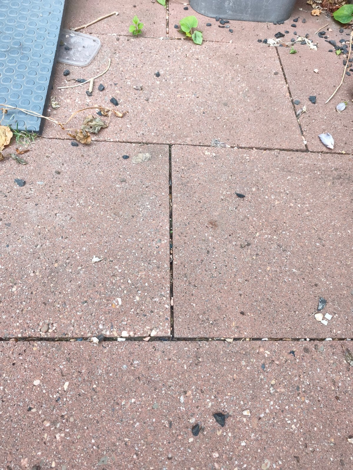 Gratis tuintegels (ca. 22 m2) - zelf afhalen en dragen, Ophalen, Gebruikt, 10 m² of meer, Beton