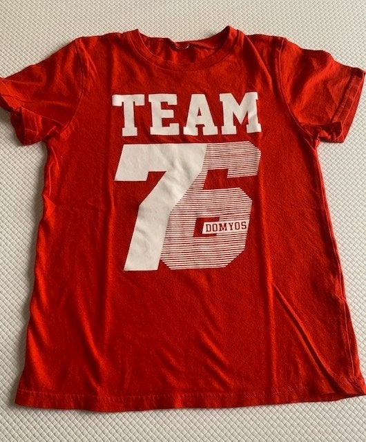 T shirt , maat 134 / 140 zgan (Y455), Kinderen en Baby's, Kinderkleding | Maat 134, Ophalen of Verzenden, Zo goed als nieuw, Shirt of Longsleeve