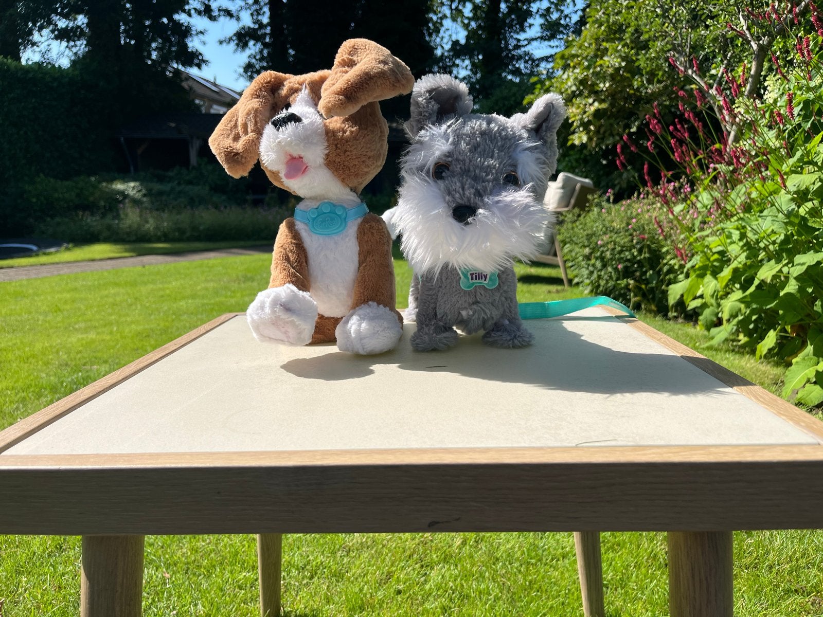 Twee schattige knuffelhondjes - perfect voor kinderen!, Ophalen, Hond, Zo goed als nieuw, Middelgroot (20 tot 80 cm)