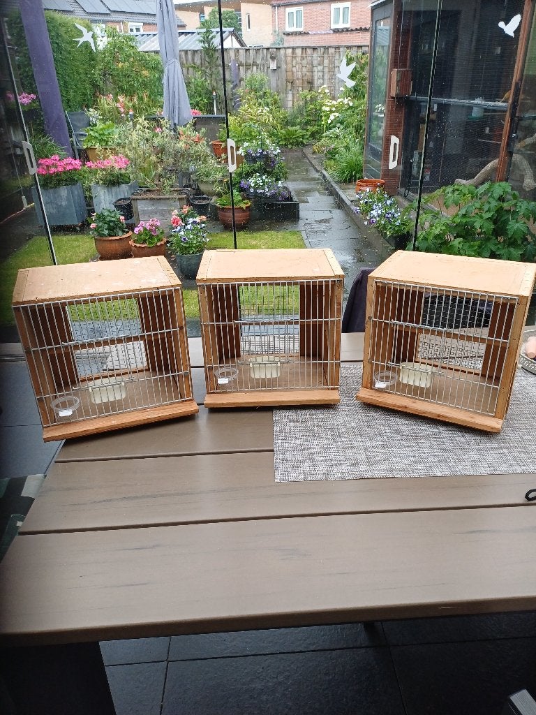 vogel kooi /klein, Dieren en Toebehoren, Ophalen, Nieuw, Hout, Vogelkooi